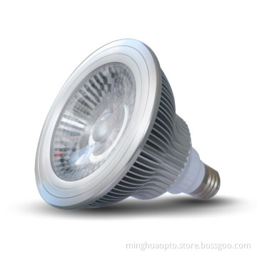 15W 1200lm LED PAR38 Light (MPLE273815B)